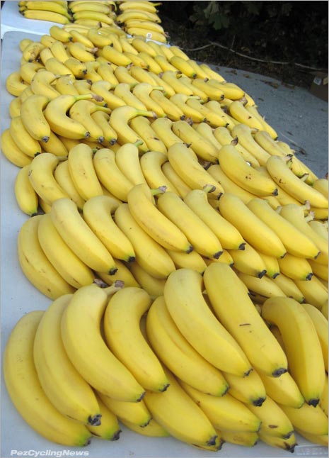 Bunch of bananas